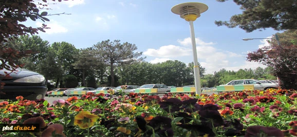 پردیس شهید هاشمی نژاد به روایت تصویر