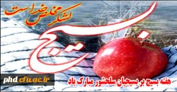 تاریخچه تشکیل بسیج