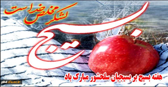 تاریخچه تشکیل بسیج