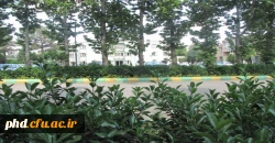 پردیس به روایت تصویر