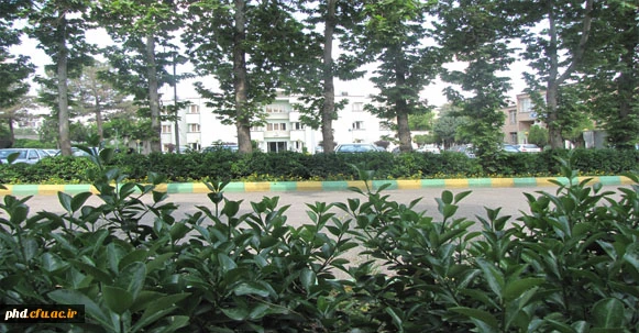 پردیس به روایت تصویر