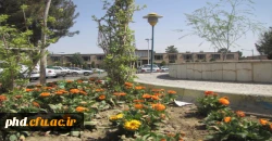 پردیس به روایت تصویر