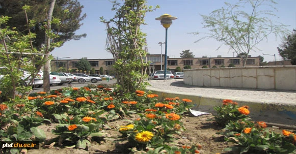 پردیس به روایت تصویر