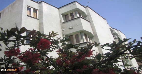 پردیس به روایت تصویر