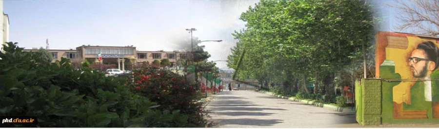 پردیس به روایت تصویر