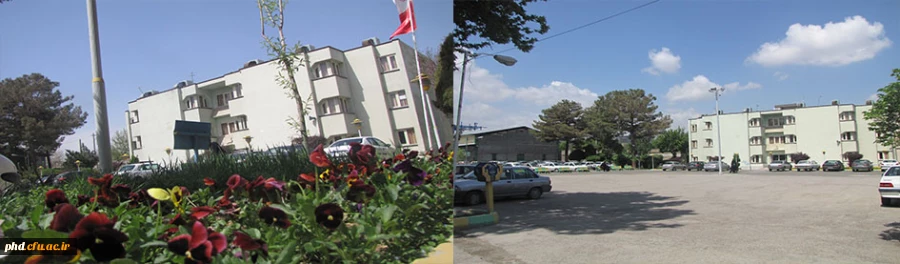 بهترین هارا برایتان آرزومندیم