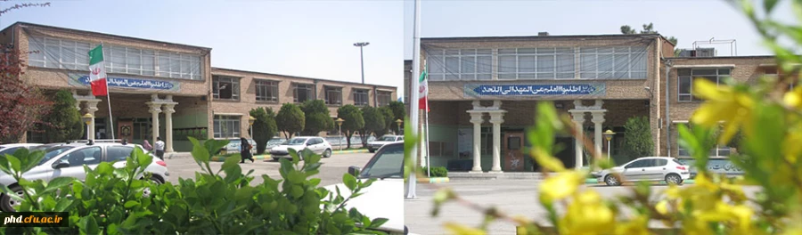 بهترین هارا برایتان آرزومندیم