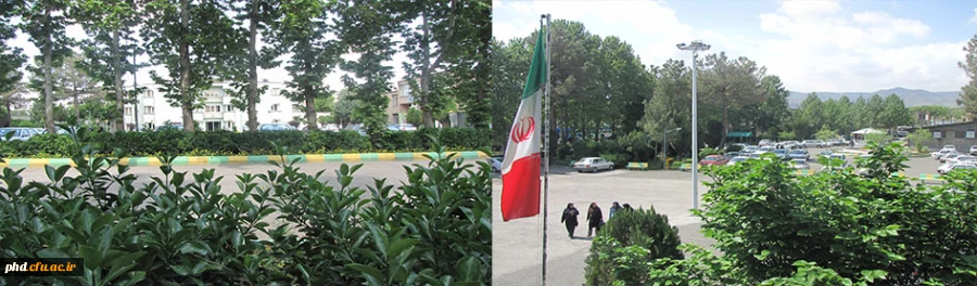 بهترین هارا برایتان آرزومندیم