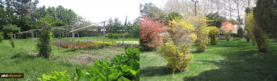 بهترین هارا برایتان آرزومندیم