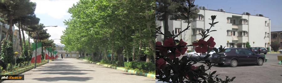 بهترین هارا برایتان آرزومندیم