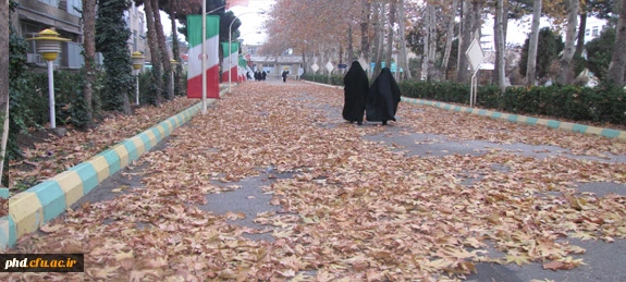 ـــﺮﮒ ﭘـــﺎﯾﯿــﺰﯼ ،ﺭﺍﻫـﯽ ﻧـﺪﺍﺭﺩ ﺟـــﺰ ﺳُــــــــﻘﻮﻁ….ﻭﻗـﺘﯽ ﻣﯽ ﺩﺍﻧـﺪﺩﺭﺧﺖهوای ﺑَـــﺮﮒ ﺗـــــﺎﺯﻩ ﺍﯼ ﺭﺍ ﺩﺭ ﺩِﻝ ﺩﺍﺭﺩ…..!