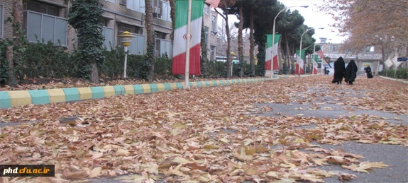 ـــﺮﮒ ﭘـــﺎﯾﯿــﺰﯼ ،ﺭﺍﻫـﯽ ﻧـﺪﺍﺭﺩ ﺟـــﺰ ﺳُــــــــﻘﻮﻁ….ﻭﻗـﺘﯽ ﻣﯽ ﺩﺍﻧـﺪﺩﺭﺧﺖهوای ﺑَـــﺮﮒ ﺗـــــﺎﺯﻩ ﺍﯼ ﺭﺍ ﺩﺭ ﺩِﻝ ﺩﺍﺭﺩ…..!