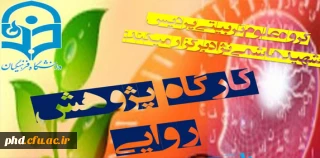 کارگاه پژوهش روایی