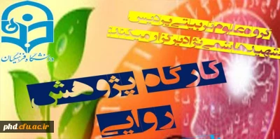 کارگاه پژوهش روایی