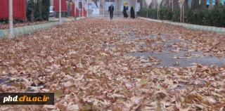 پاییز به روایت تصویر در پردیس شهید هاشمی نژاد