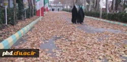 پاییز به روایت تصویر در پردیس شهید هاشمی نژاد