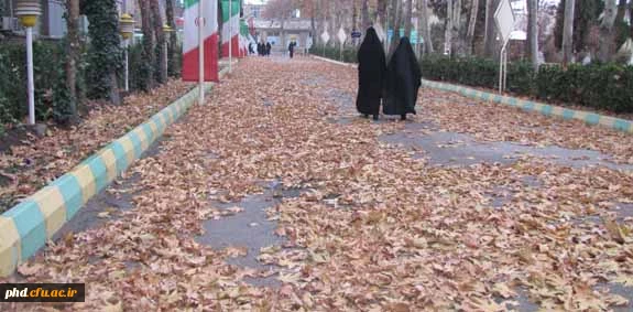 پاییز به روایت تصویر در پردیس شهید هاشمی نژاد