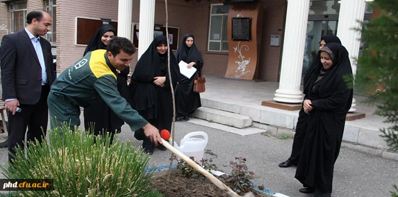 روز درختکاری