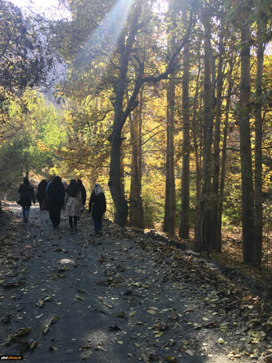 اردوی یک روزه به مقصد روستای کنگ