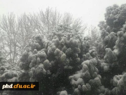 نمای برفی پردیس شهید هاشمی نژاد در بارش اولین برف 95