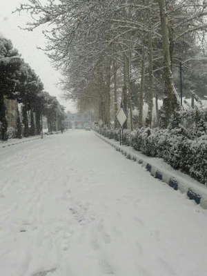 نمای برفی پردیس شهید هاشمی نژاد در بارش اولین برف 95