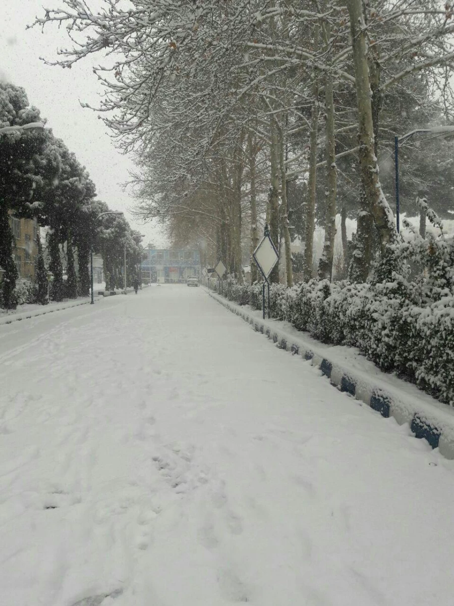 نمای برفی پردیس شهید هاشمی نژاد در بارش اولین برف 95