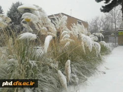 نمای برفی پردیس شهید هاشمی نژاد در بارش اولین برف 95