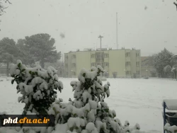 نمای برفی پردیس شهید هاشمی نژاد در بارش اولین برف 95