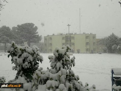 نمای برفی پردیس شهید هاشمی نژاد در بارش اولین برف 95