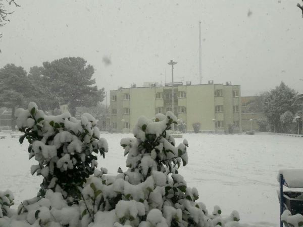 نمای برفی پردیس شهید هاشمی نژاد در بارش اولین برف 95