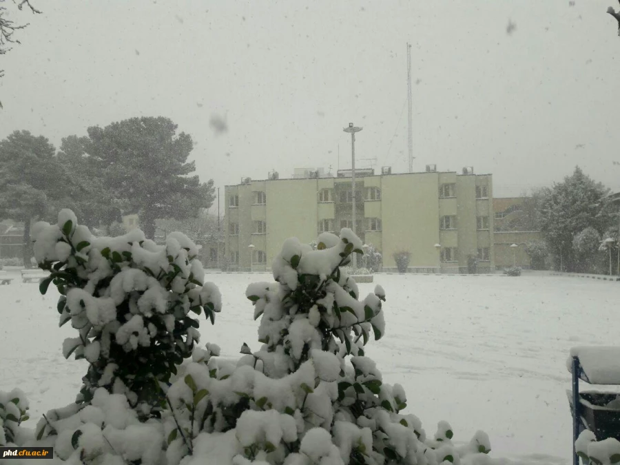 نمای برفی پردیس شهید هاشمی نژاد در بارش اولین برف 95