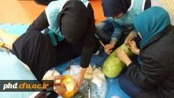 تصاویر جشن یلدای نبوی