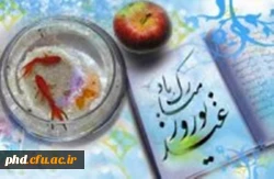 جلسه معارفه