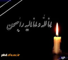 عرض تسلیت به استاد فرهیخته جناب آقای دکتر هادی فدوی حسینی
عرض تسلیت به استاد فرهیخته سرکار خانم شوریده دل