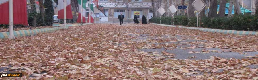 پردیس شهید هاشمی نژاد به روایت تصویر