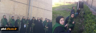 فعالیت های کارشناسی مشاوره و همیاران سلامت به روایت تصویر