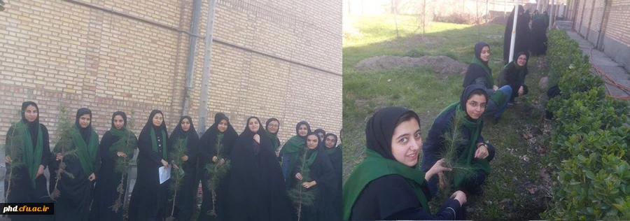 فعالیت های کارشناسی مشاوره و همیاران سلامت به روایت تصویر