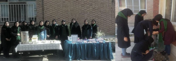 فعالیت های کارشناسی مشاوره و همیاران سلامت به روایت تصویر