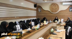 شورای فرهنگی