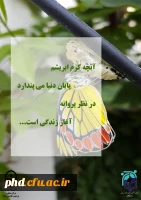 پیام سلامت روان 2