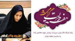 پیام تبریک دکتر بزمی سرپرست پردیس شهید هاشمی نژاد
 به مناسبت هفته دولت 2