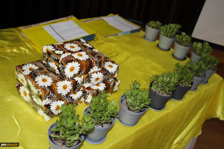 آیین گرامیداشت دهه سرآمدی آموزش و تکریم مقام معلم و استاد 4