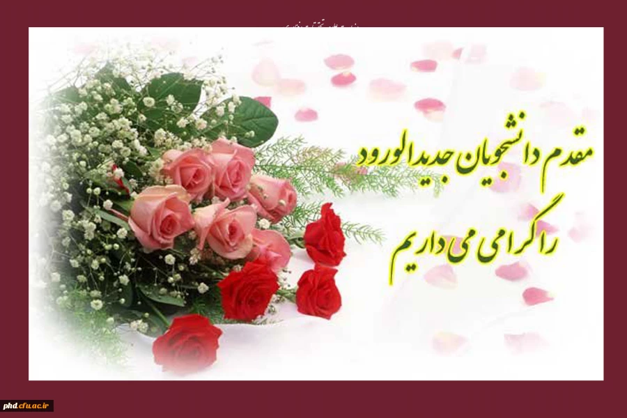 photo_2025-10-01_19-06-43